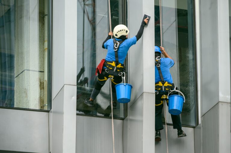 Professional Window Washing: A Comprehensive Guide